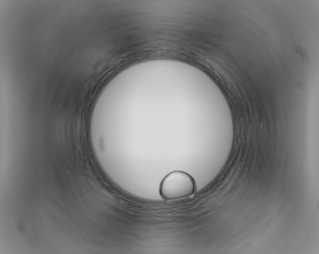 X0000113020268200908271040
