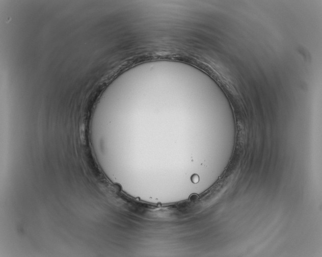 X0000113020269200908271040