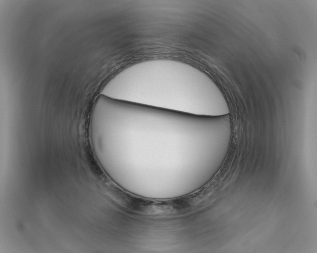 X0000113020270200908271040