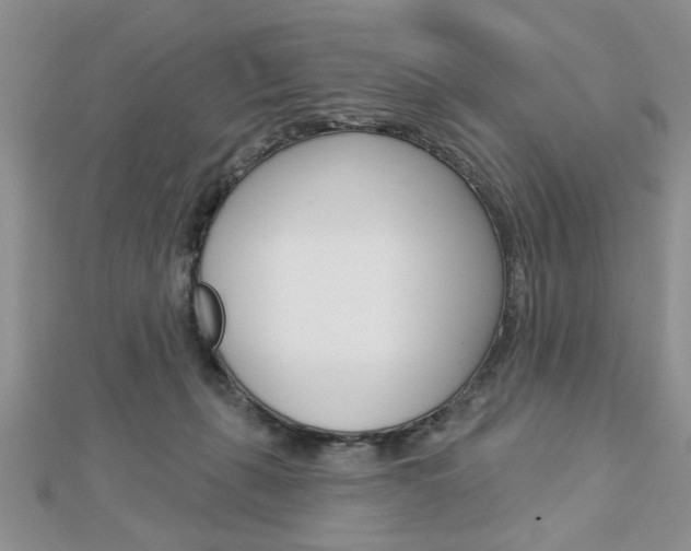 X0000113020271200908271040