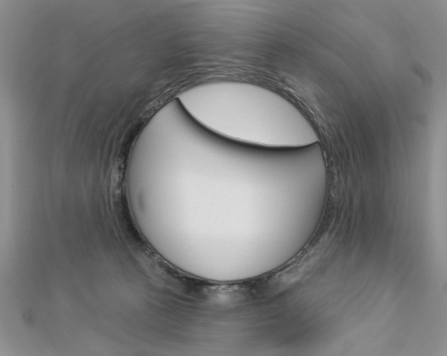 X0000113020273200908271040