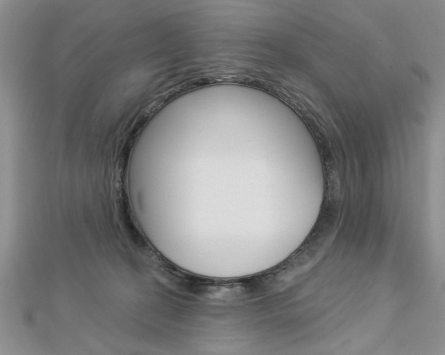 X0000113020274200908271040