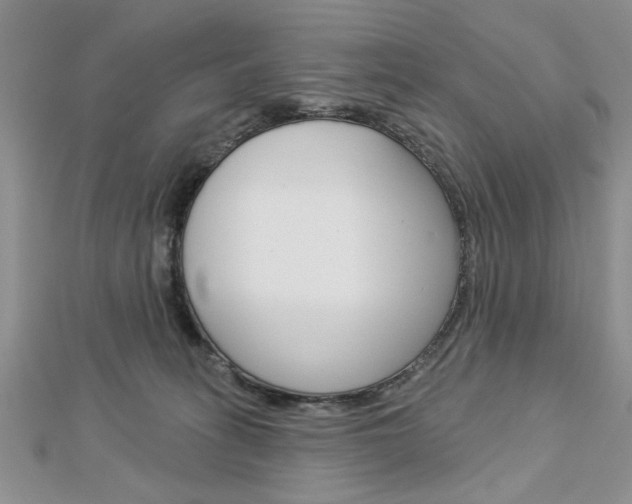 X0000113020275200908271040