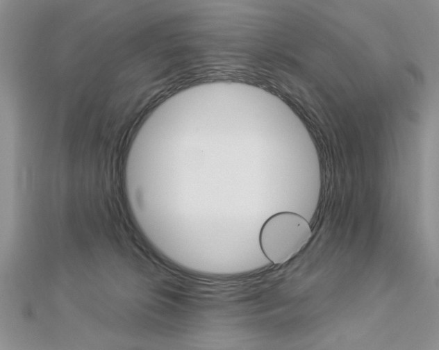 X0000113020276200908271040