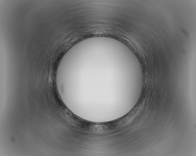 X0000113020277200908271040