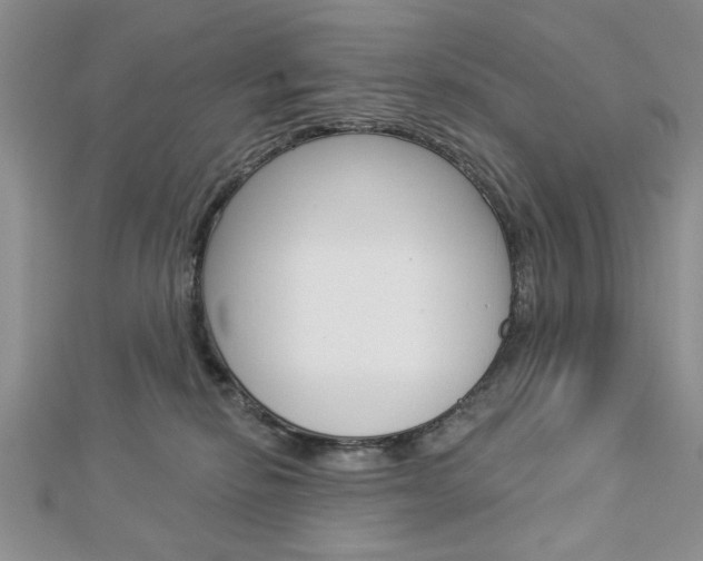 X0000113020278200908271040