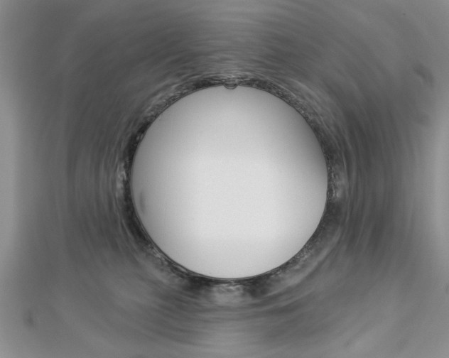 X0000113020279200908271040