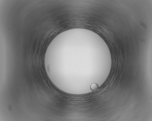 X0000113020280200908271040