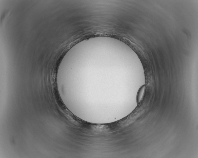 X0000113020281200908271040