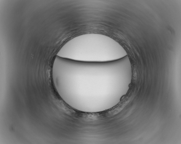 X0000113020282200908271040