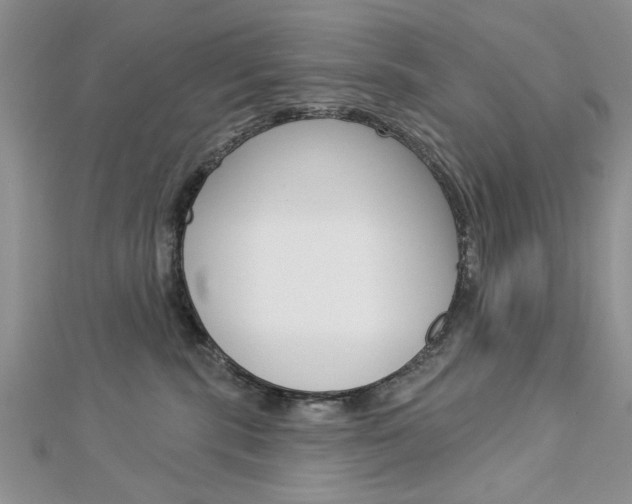 X0000113020283200908271040