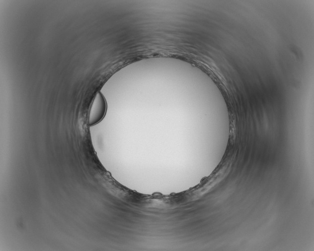 X0000113020285200908271040