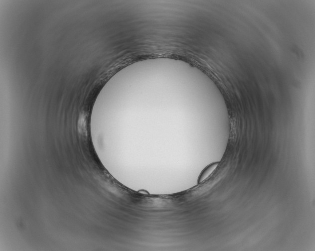 X0000113020286200908271040