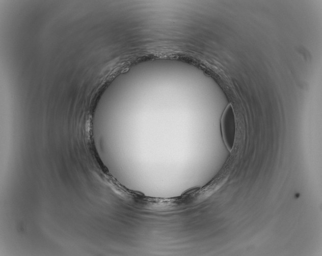 X0000113020288200908271040