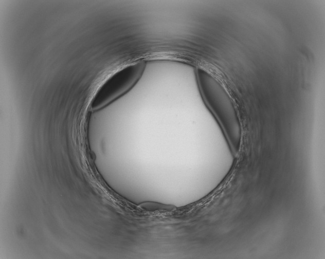 X0000113020289200908271040