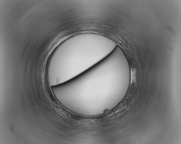 X0000113020291200908271040