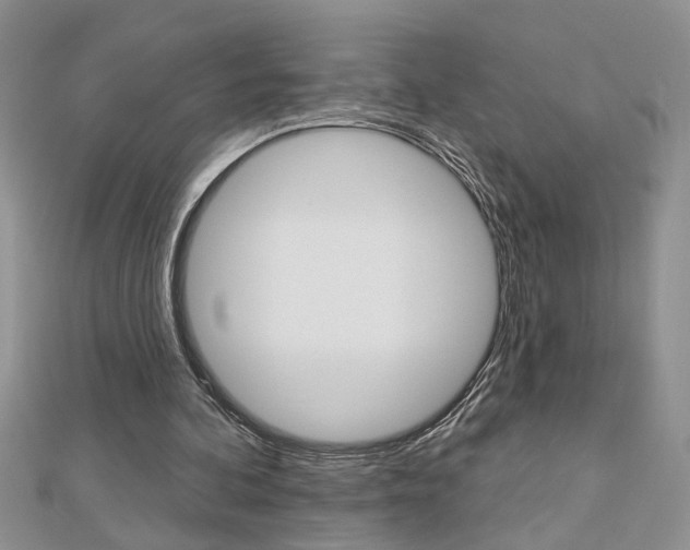 X0000113020292200908271040