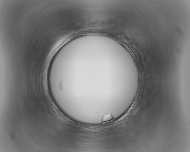X0000113020293200908271039