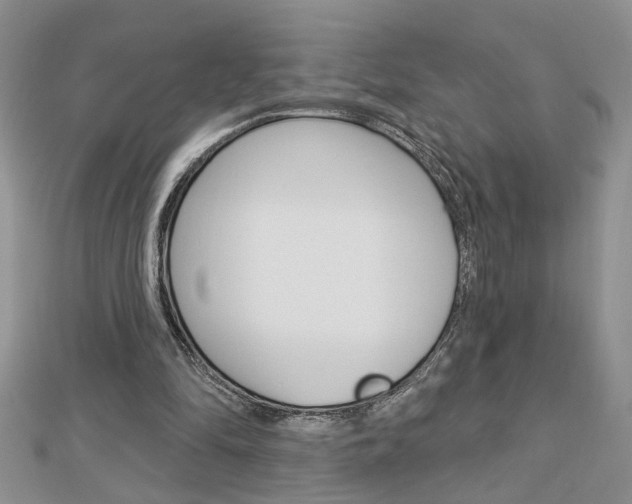 X0000113020294200908271039