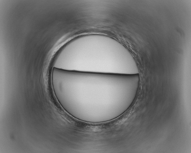 X0000113020295200908271039