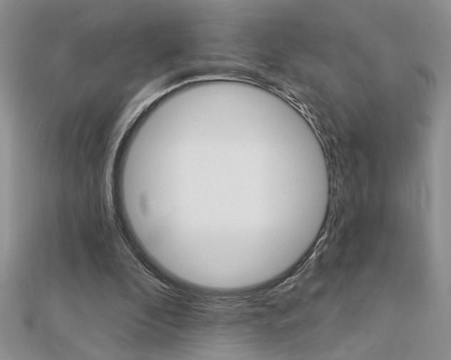 X0000113020296200908271039