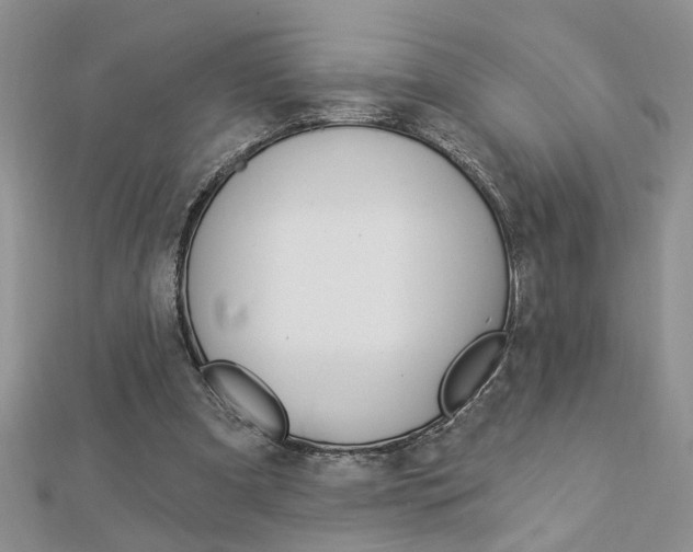 X0000113020297200908271039