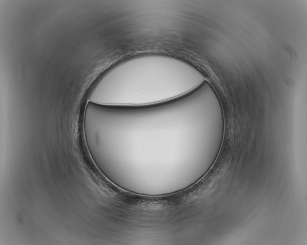 X0000113020299200908271039