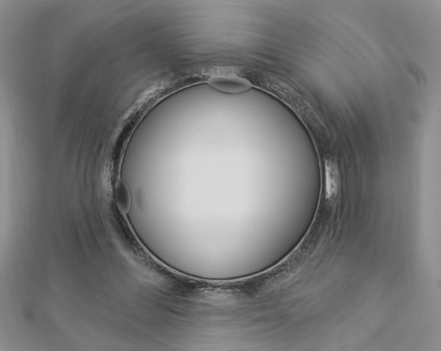X0000113020300200908271039