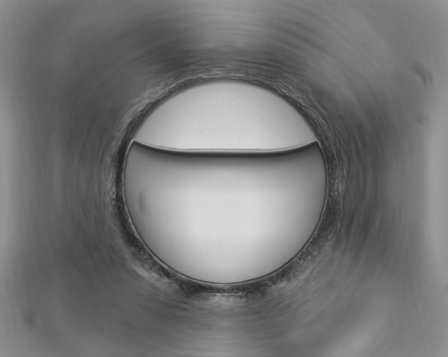 X0000113020303200908271039