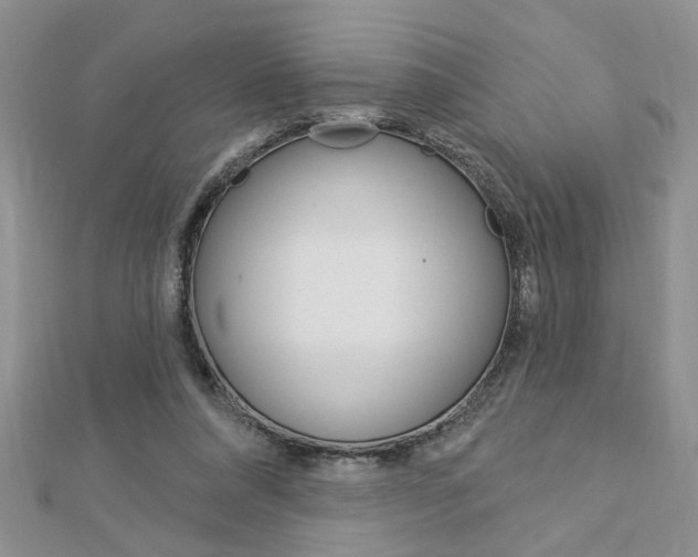 X0000113020304200908271039