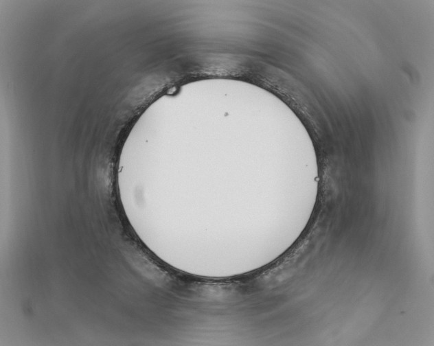 X0000113020305200908271039