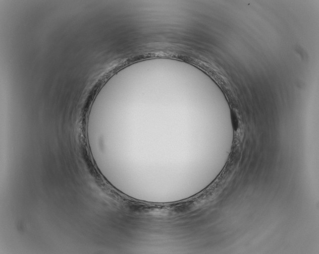 X0000113020306200908271039