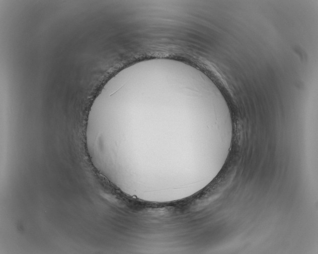 X0000113020307200908271039