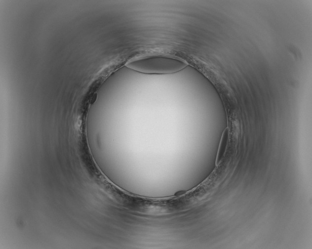 X0000113020308200908271039
