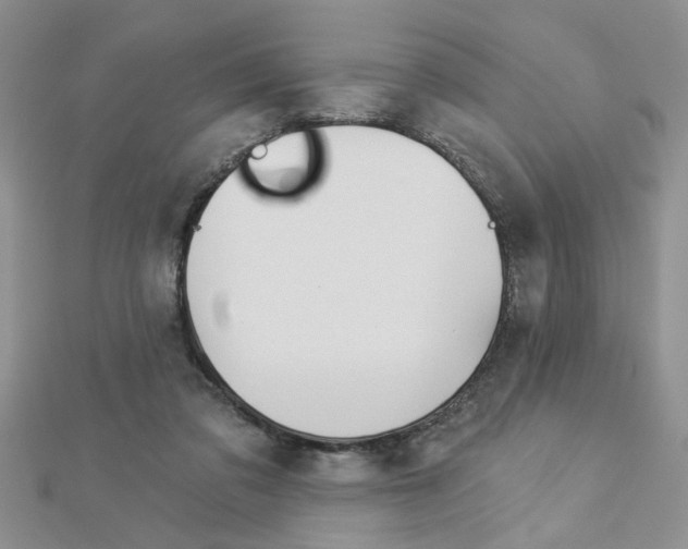 X0000113020309200908271039