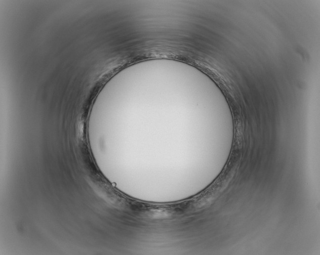 X0000113020310200908271039