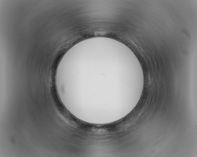 X0000113020311200908271039