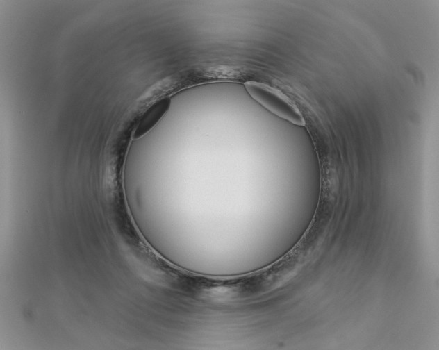 X0000113020312200908271039