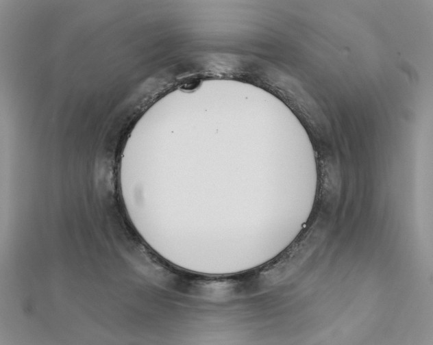 X0000113020313200908271039