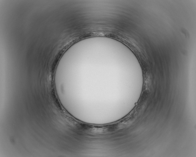 X0000113020314200908271039