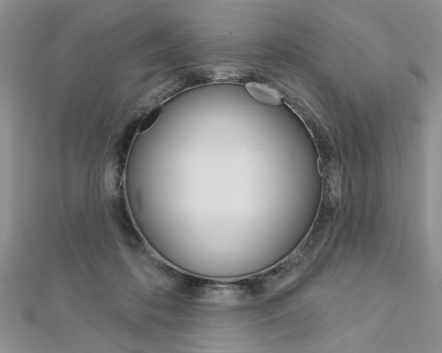 X0000113020316200908271039
