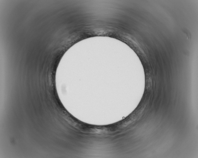 X0000113020317200908271039