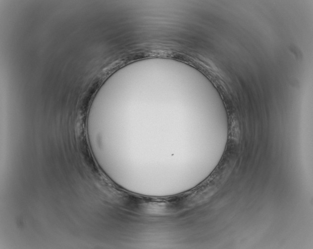 X0000113020318200908271039