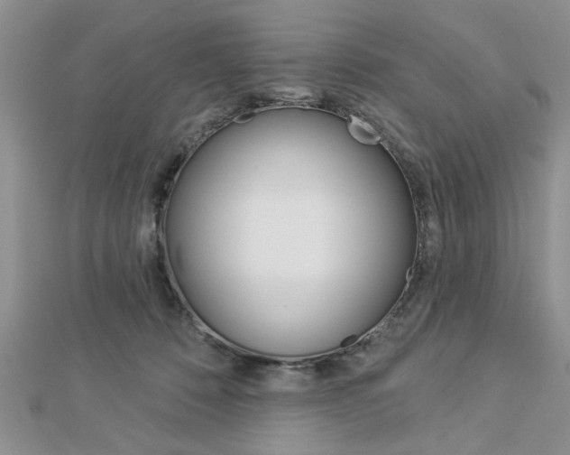 X0000113020320200908271039
