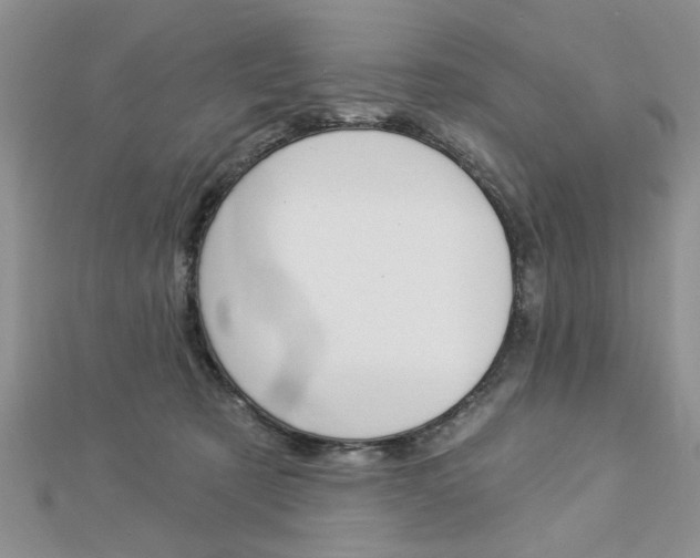 X0000113020321200908271039
