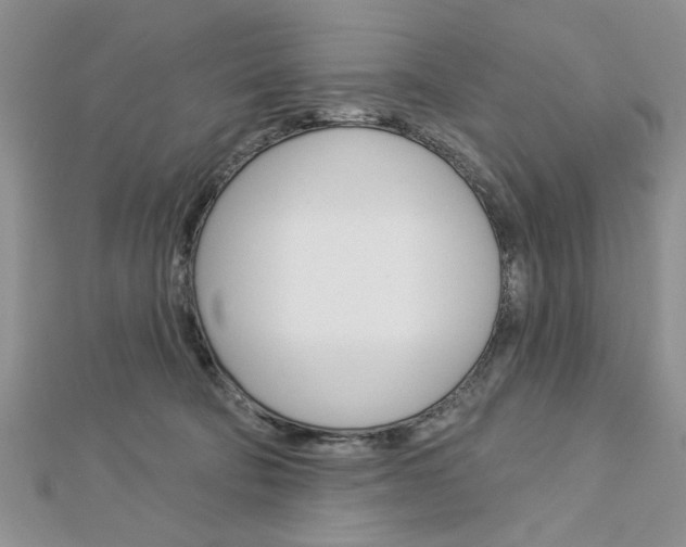 X0000113020322200908271039