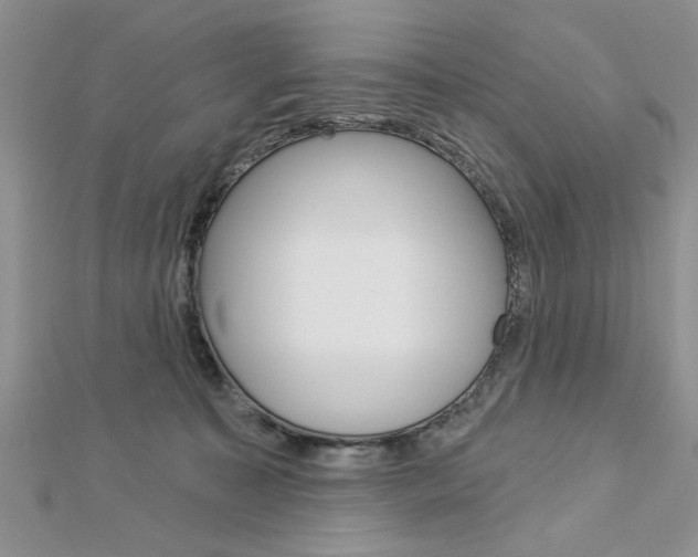 X0000113020323200908271039