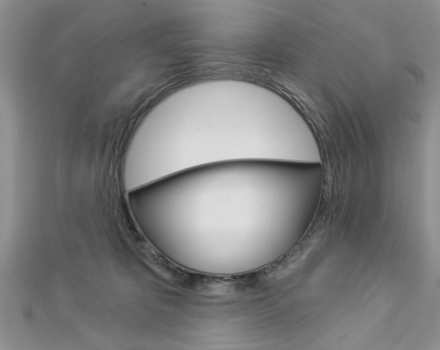 X0000113020325200908271039