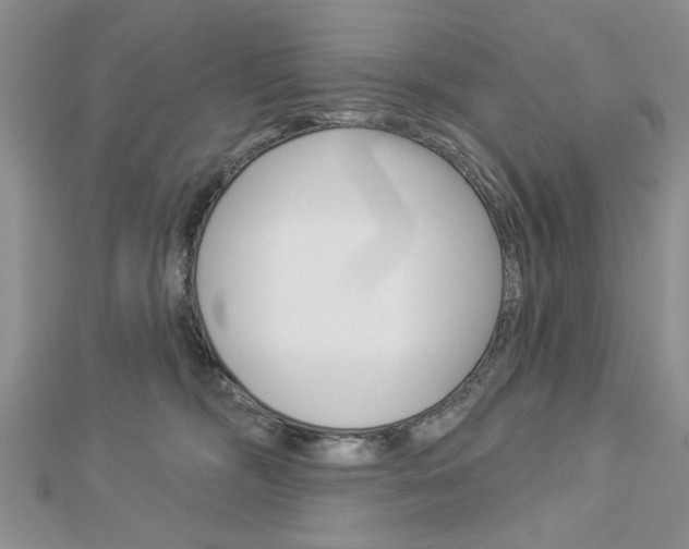 X0000113020326200908271039