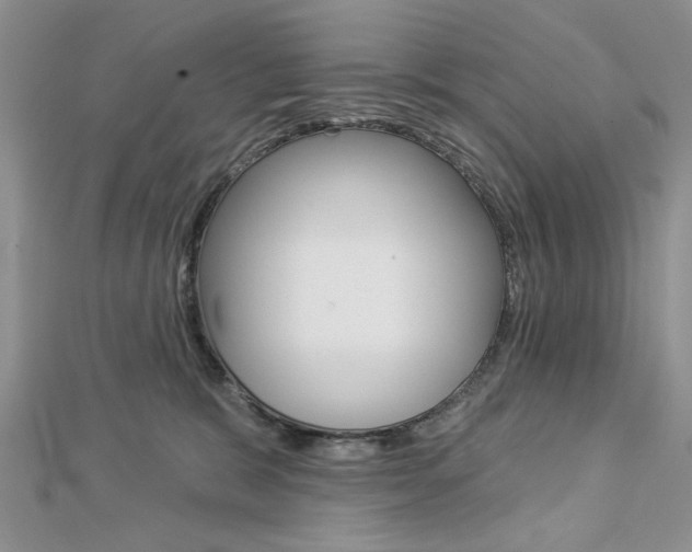 X0000113020327200908271039